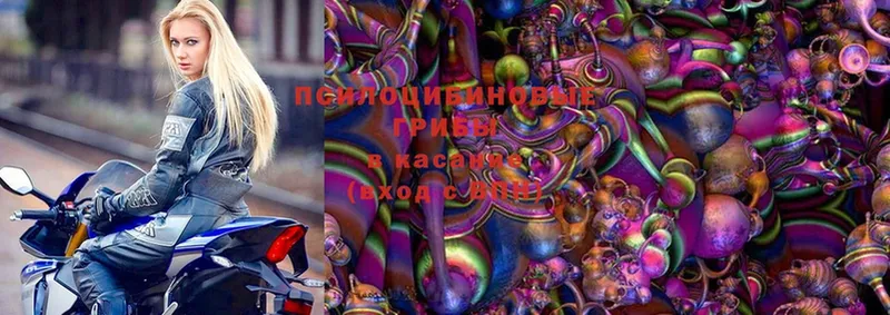 Псилоцибиновые грибы Magic Shrooms  Красногорск 